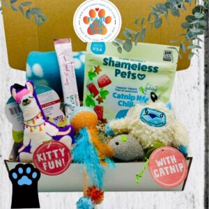 Fun Cat Gift Box – Plush Llama and Yeti Toys, Treats & Blanket