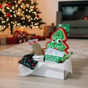 Luxury Christmas Dog Gift Box