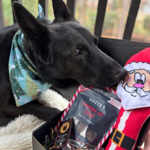 Christmas Dog Gift Box – Tough Chewer Toys & Treats