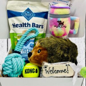 New Dog Congratulations Gift Box – Hedgehog Theme with Plush Hedgehog, Toys, Treats & Cookie Choice | The Happy Hedgehog Box