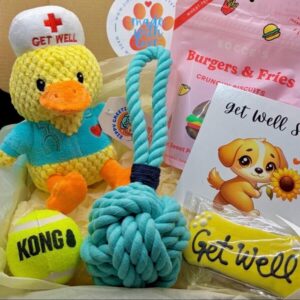 Nurse Quackers Personalized Dog Get Well Gift, Get Well Soon Dog Plush Gift, Pet Recovery Comfort Gift, Dog Surgery Gift, Sick Dog Gift