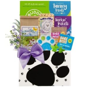 Barks and Wags Dog Luxury Gift Basket