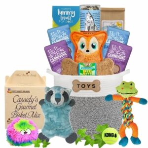 Classic Dog Toy Bin and Treats Luxury Gift Basket