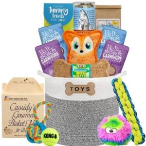 Classic Dog Toy Bin and Treats Luxury Gift Basket