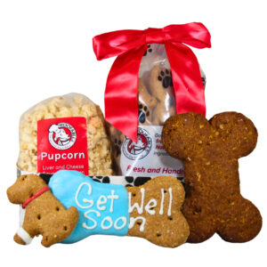 Get Well Soon Basket Gourmet Dog Treats