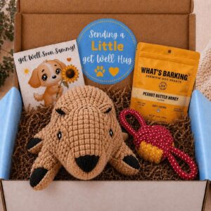 Get Well Dog Gift Box – Little Squirrel Hugs