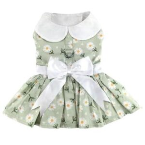 Mint Green Daisy Dog Dress with Matching Leash
