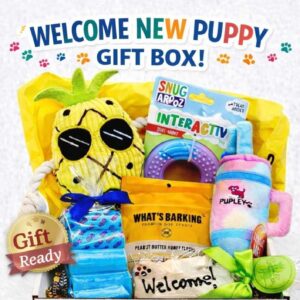 Puppy Welcome Gift Box