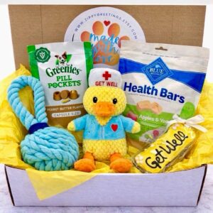 Quak-Tastic Recovery, Dog Get Well Soon
