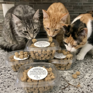 Cat Birthday Treats