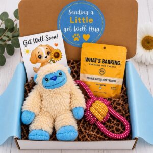 Get Well Dog Gift Box – Little Yeti Hugs