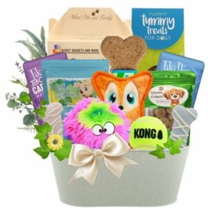 Playtime Dog Gift