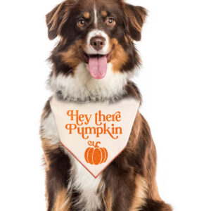 Hey There Pumpkin Pet Bandana