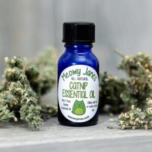 15 ml Pure Catnip Essential Oil – Concentrated Toy and Scratcher Refresher