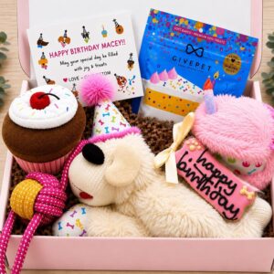 Dog Pink Birthday Gift Box, Gotcha Day Gift for Dog, Personalized Puppy Gift, Plush Lamb & Cupcake Toys, Birthday Cookie and Treats, Pawty Time