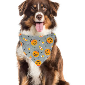 Halloween Dog Bandana | Pumpkin Bandana | Candy Corn Bandana