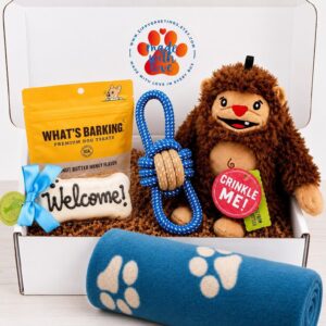 Bigfoot Hugs Welcome Puppy Gift Box [Young Billy the Bigfoot]