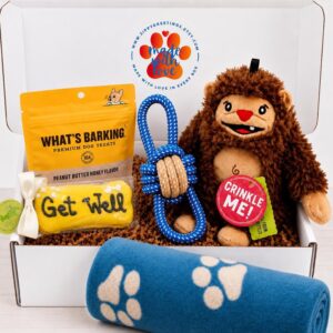 Get well Care Package, Baby Bigfoot Dog Gift Box