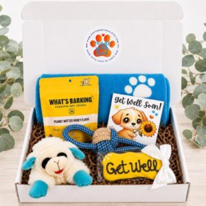 Dog Get Well Gift Box with Lamb Chop