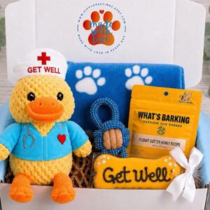 Dog Get Well Gift Box with Nurse Duck
