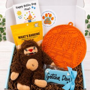 Happy Tails Young Billy Bigfoot Gotcha Day Birthday Celebration Dog Gift Box
