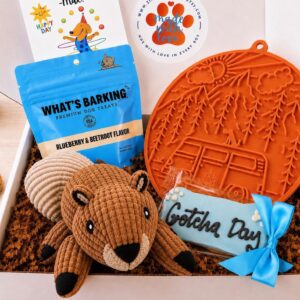 Happy Tails Squirrel Gotcha Day Birthday Celebration Dog Gift Box