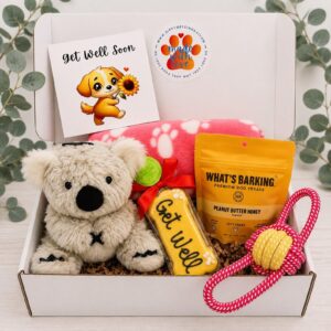 Koala Hugs Get Well Pup Box