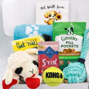 Premium Get Well Dog Gift Box