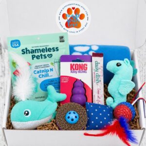 Purrs Under the Sea Cat Gift Box