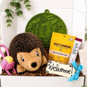 Happy Camper Pup Box – New Dog Gift Box,  Dog Adoption Gift, Puppy Gift Box, Lick Mat, Treats & Hedgehog Plush Toy