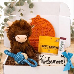 Happy Camper Pup Box – New Dog Gift Box, Dog Gotcha Day Box, Dog Adoption Gift, Puppy Gift Box, Lick Mat, Treats & Highland Cow Plush Toy