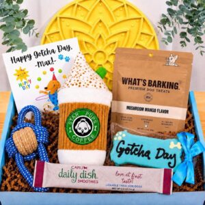 Pup Cups & Tail Wags Gotcha Day Gift Box