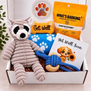 Raccoon to the Rescue – Get Well Dog Gift Box