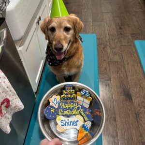 Dog Birthday Treats