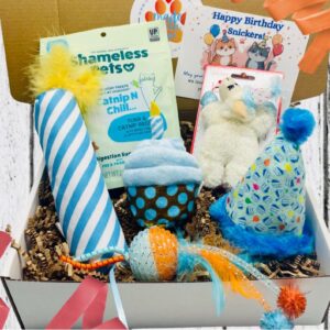 Purr-fect Cat Birthday Gift Box – Plush Cupcake and Party Hat Toys, Treats and Birthday Card | Adorable Celebration Gift for Cats