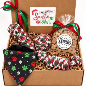 Christmas Dog Gift Box- Dog Toys and Treats - Gift for Dog (Copy)