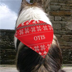 Personalized Red Christmas Sweater Pet Bandana