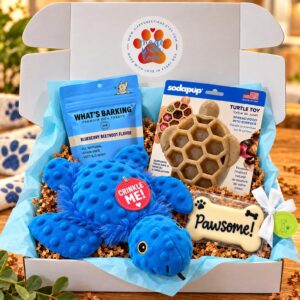Turtley Awesome Doggie Gift Box
