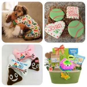 Items For Dogs