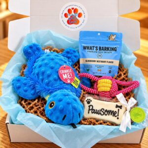 Turtley Awesome Dog Gift Box